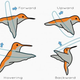 A hummingbird’s incredible range of wing motion.